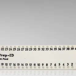 Socket Wrap ID, 40 Pins